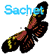 Sachet