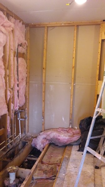 tearout3.jpg