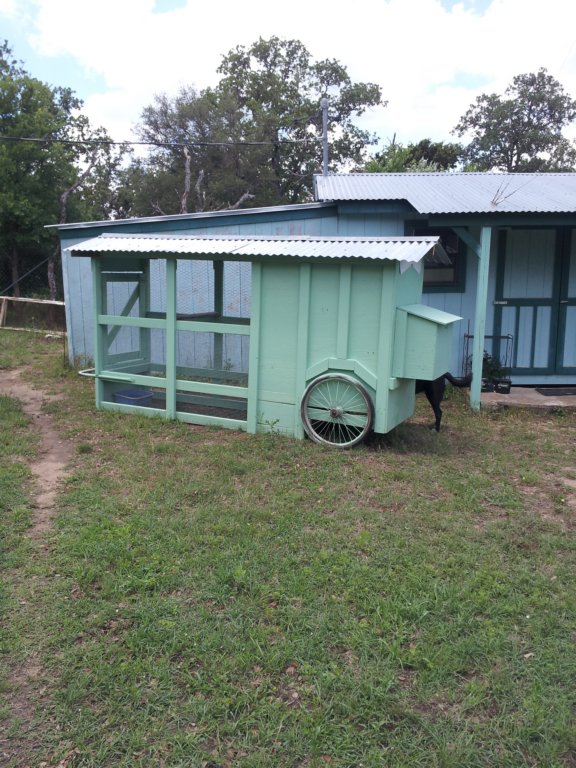 chickencoop.jpg