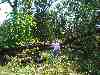 Photo Number 4