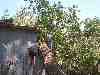 Photo Number 6